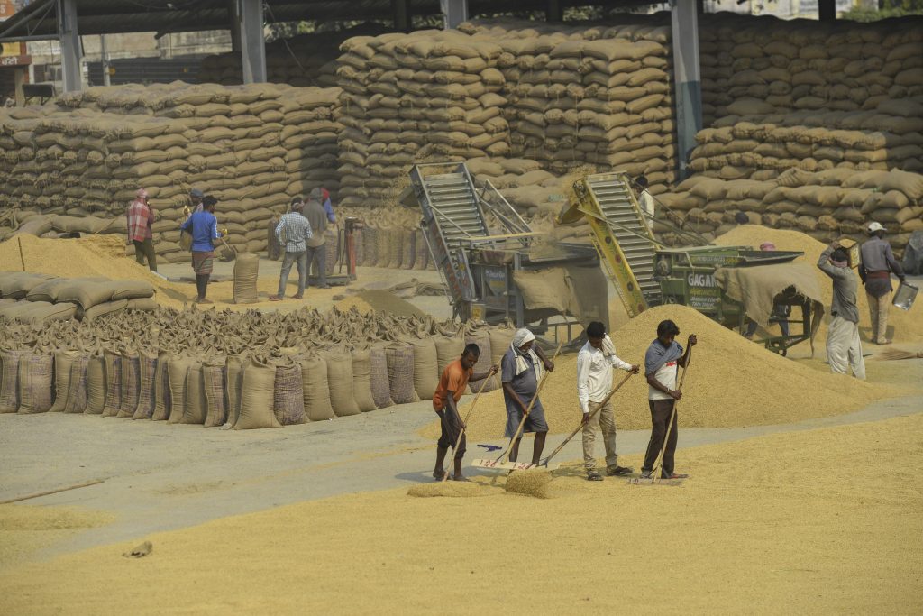 Foodgrain output set to scale new peak in 2025 as farm sector eyes 4 pc ...