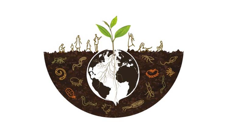 world-soil-day