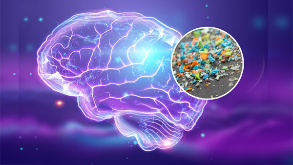 microplastic and brain