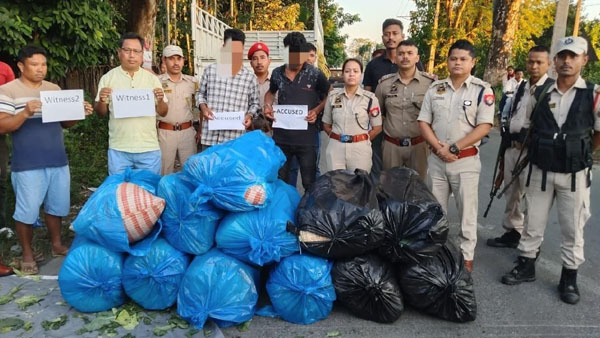 Cannabis worth Rs 3 cr seized in Assam, 2 arrested
