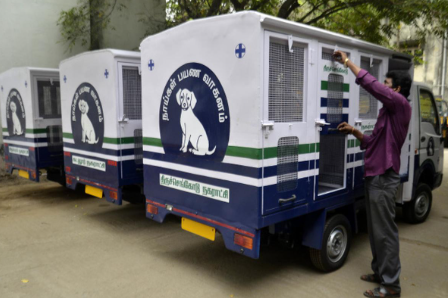 MCD to deploy 12 vans, expedite shelter arrangements as SC tightens stray dog rules