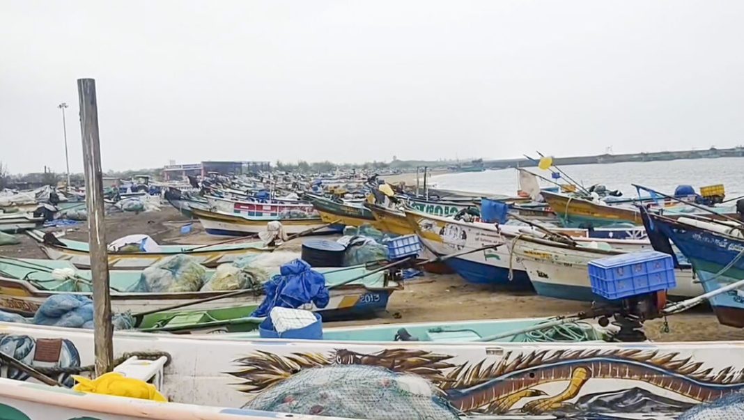 Cyclone ‘Ditwah’: CM Stalin reviews preparedness