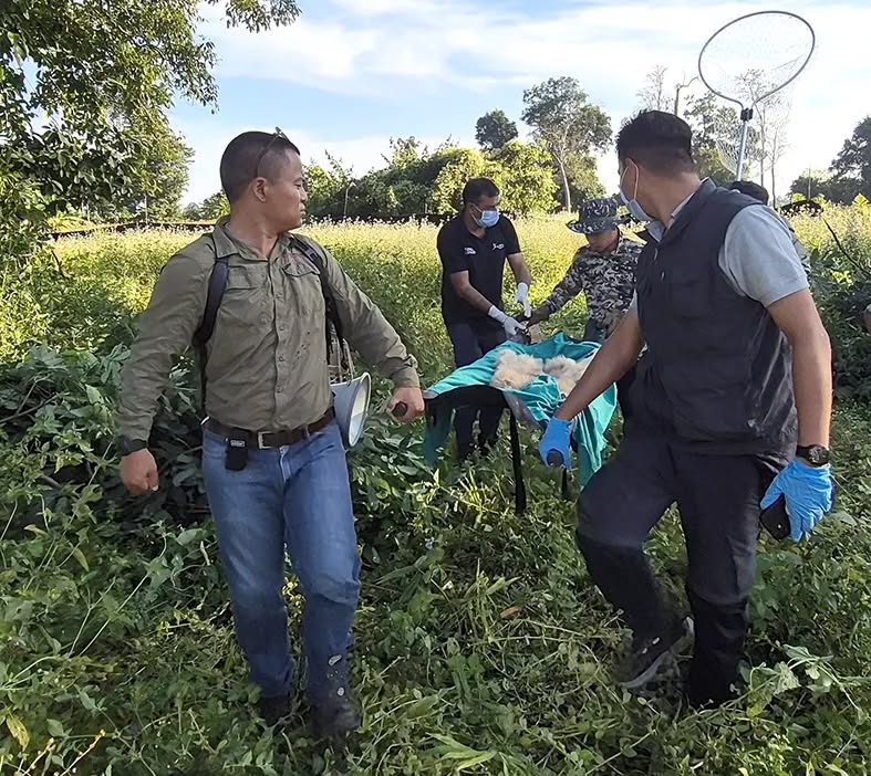 Hoolock gibbon family rescued after four-day operation in Arunachal