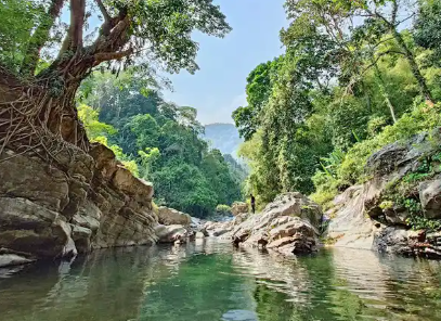 GSU demands crackdown on illegal mining in Rongdik river