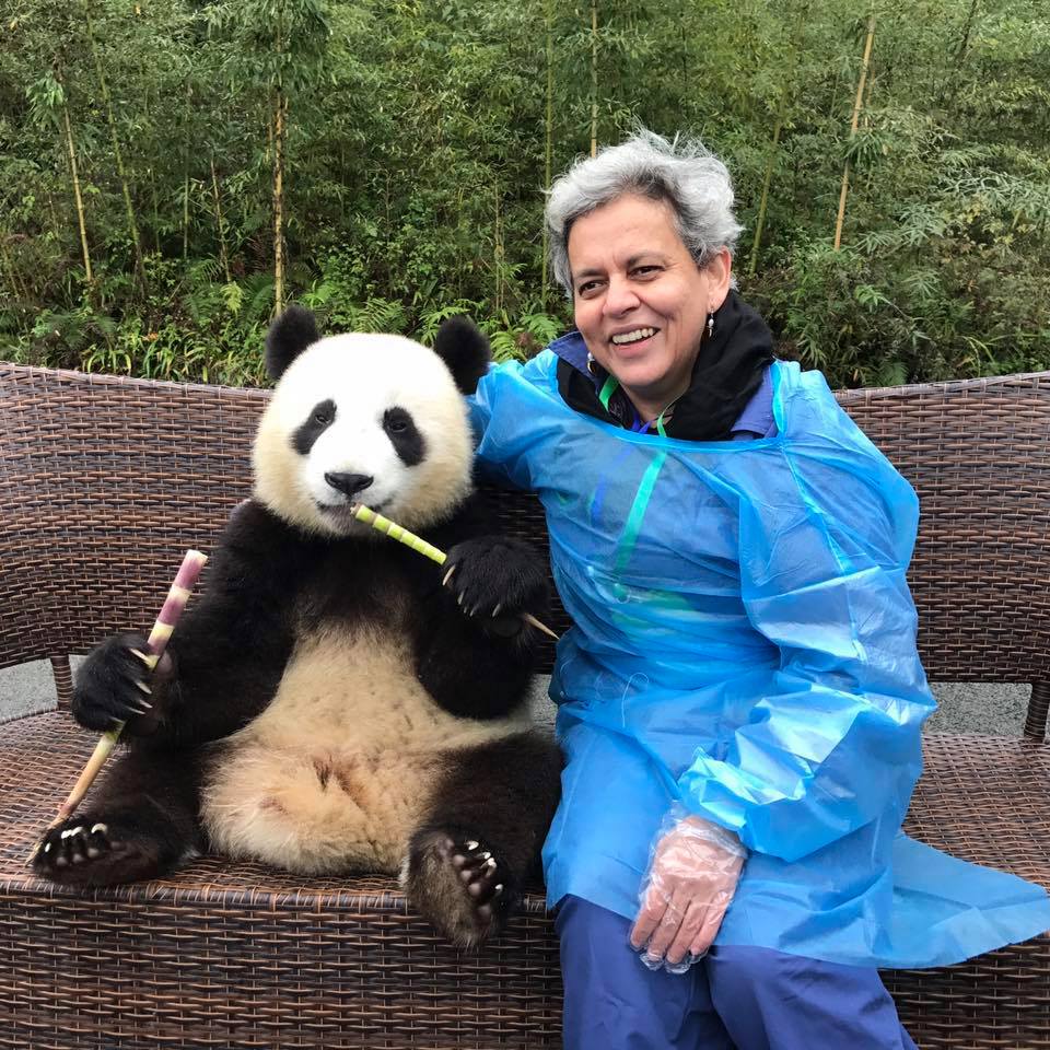 It’s a democracy here: Kala Ghoda Arts Festival director on prioritising art over star power