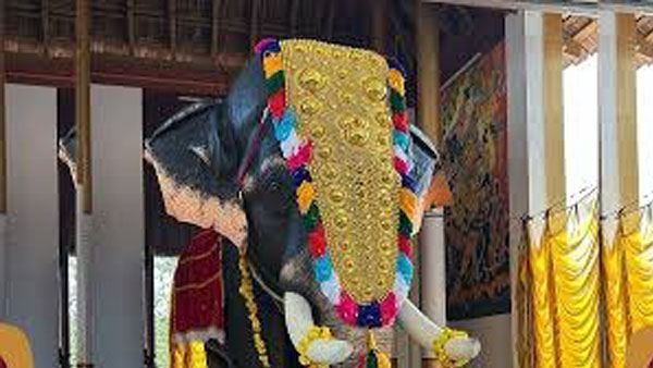 Kerala temple gets life-size mechanical elephant from actor Sonakshi Sinha, PETA