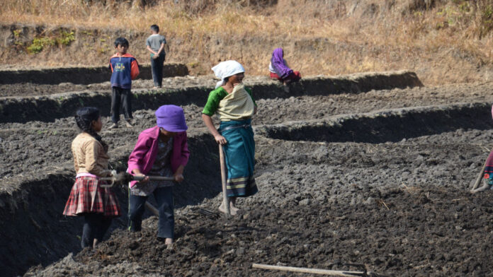 Meghalaya villages bank on traditional knowhow to deal with climate change