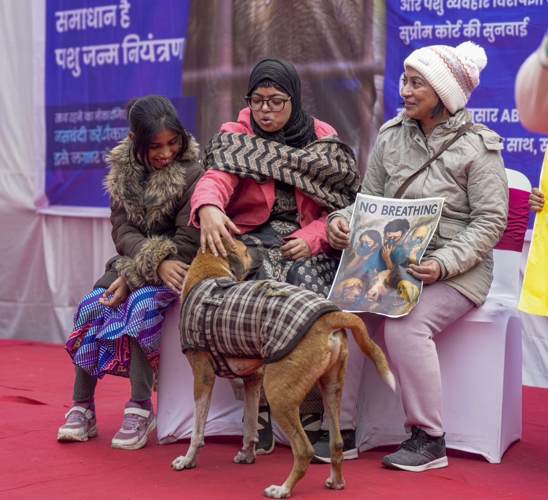 Stray dogs issue: Activists, citizens protest at Delhi’s Jantar Mantar, call for lawful policy