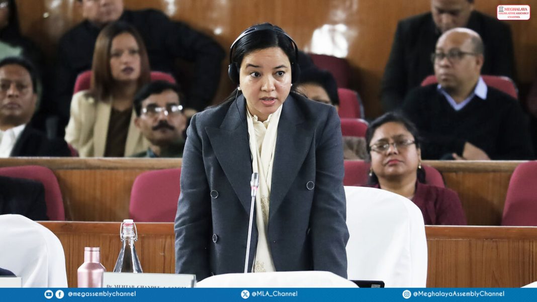 Mehtab urges Govt to improve healthcare, rural connectivity