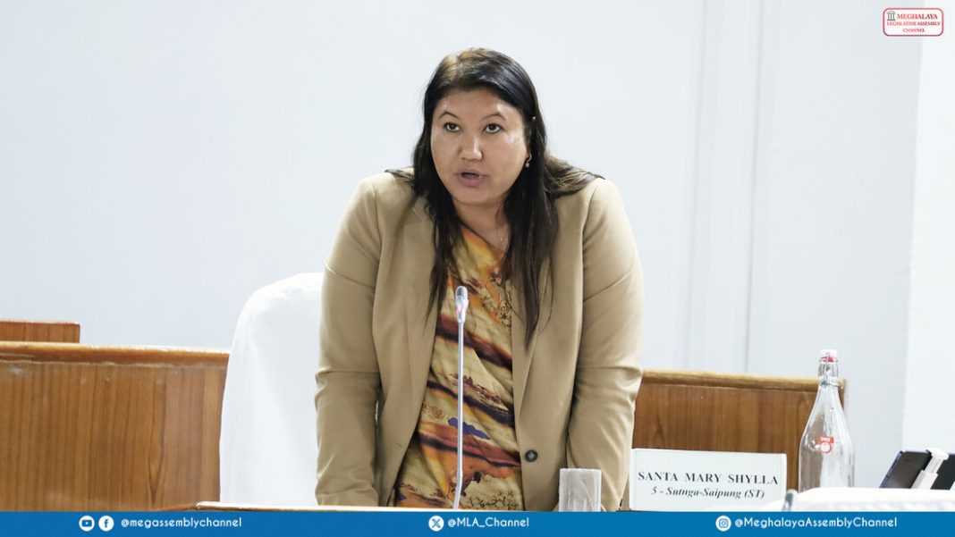 MLA pitches for regulated traditional mining framework