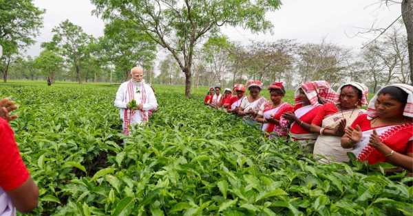 Congress to bring in law to protect infiltrators in Assam, if it comes to power: PM