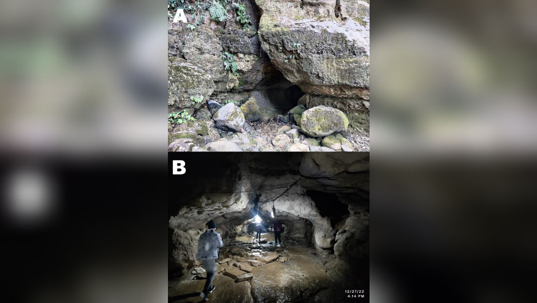 Two micro snail species discovered in Khasi Hills caves