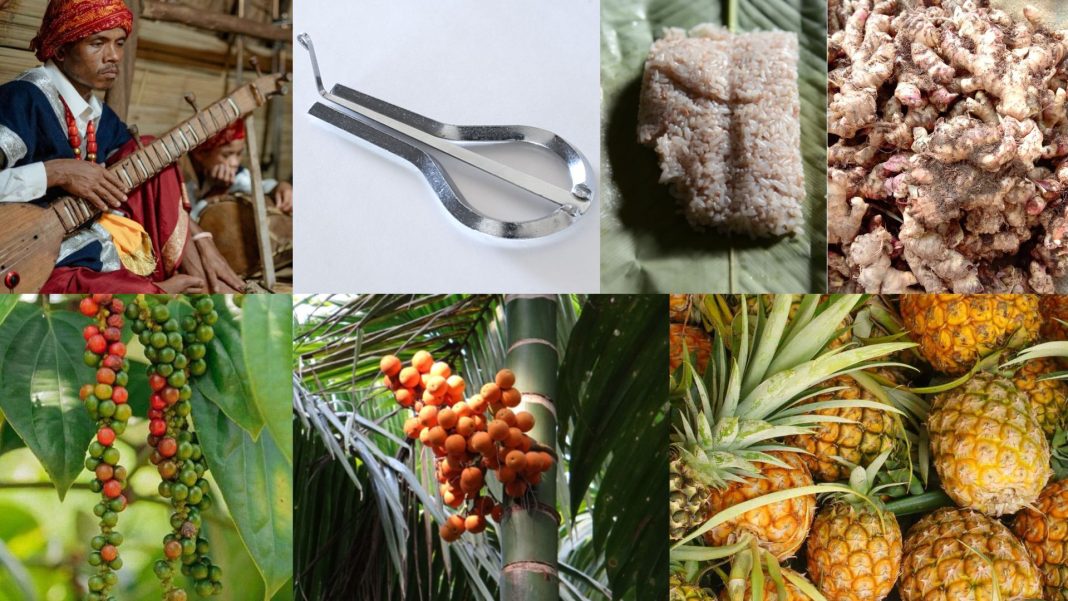 GI tag for 32 indigenous products of Meghalaya