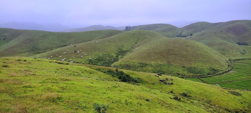 HSPDP seeks memorial in Nongstoiñ for Hopingstone Lyngdoh