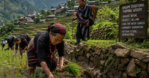 Nagaland University study highlights role of indigenous knowledge in sustainable farming