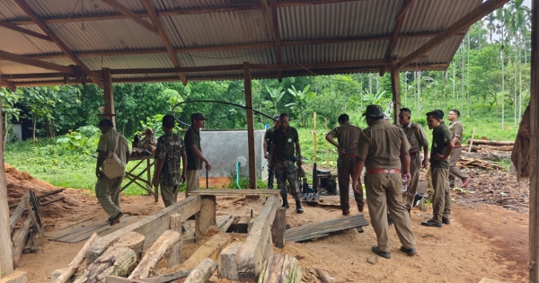 Forest Department raids four illegal sawmills in North Garo Hills