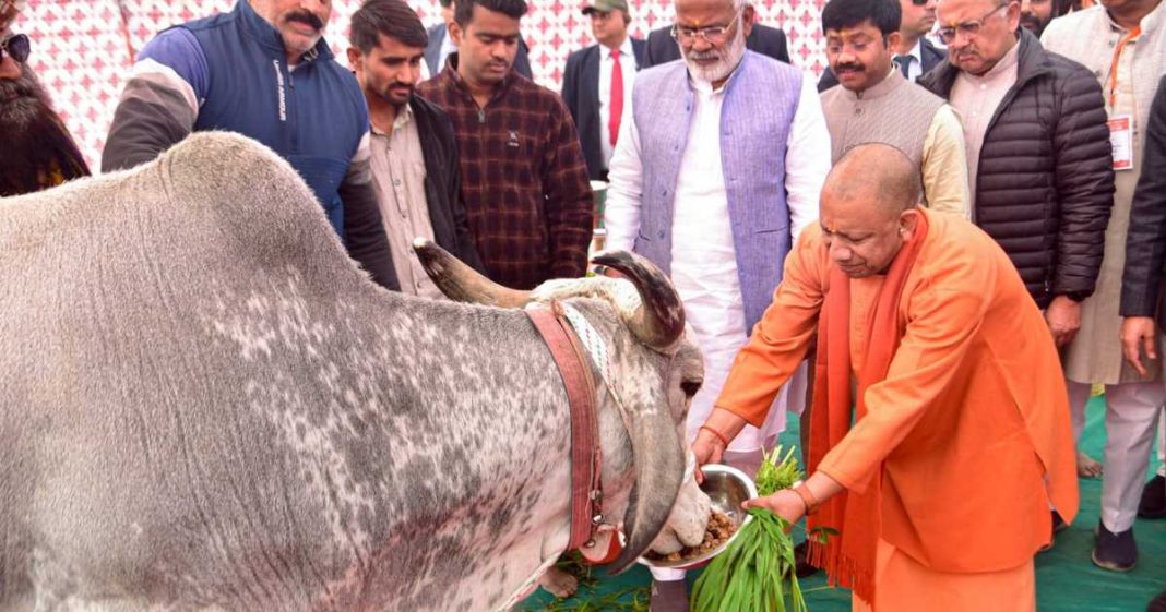 Adityanath advocates cow dung, urine-based natural farming to cut chemical use