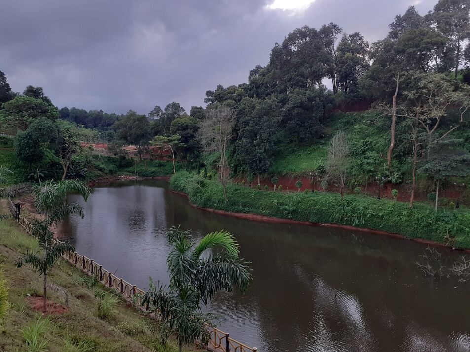 Rich microscopic algae diversity found in USTM campus waterbody