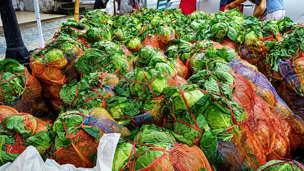 No system failure in cabbage prise crash: Govt