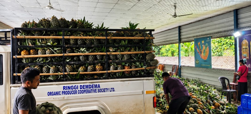 Garo Hills ships first consignment of premium Pineapples to Delhi for National Festival