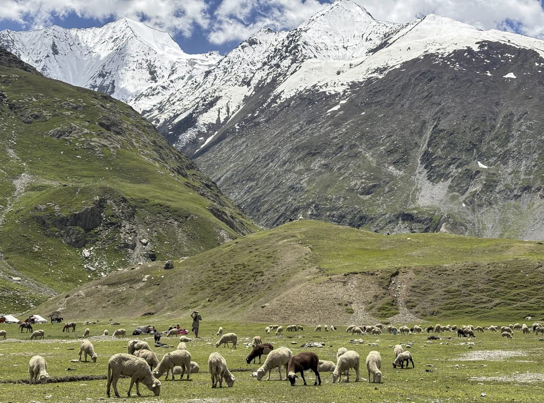 100 ex-servicemen deployed in Environment Protection Force to safeguard Ladakh’s fragile ecology