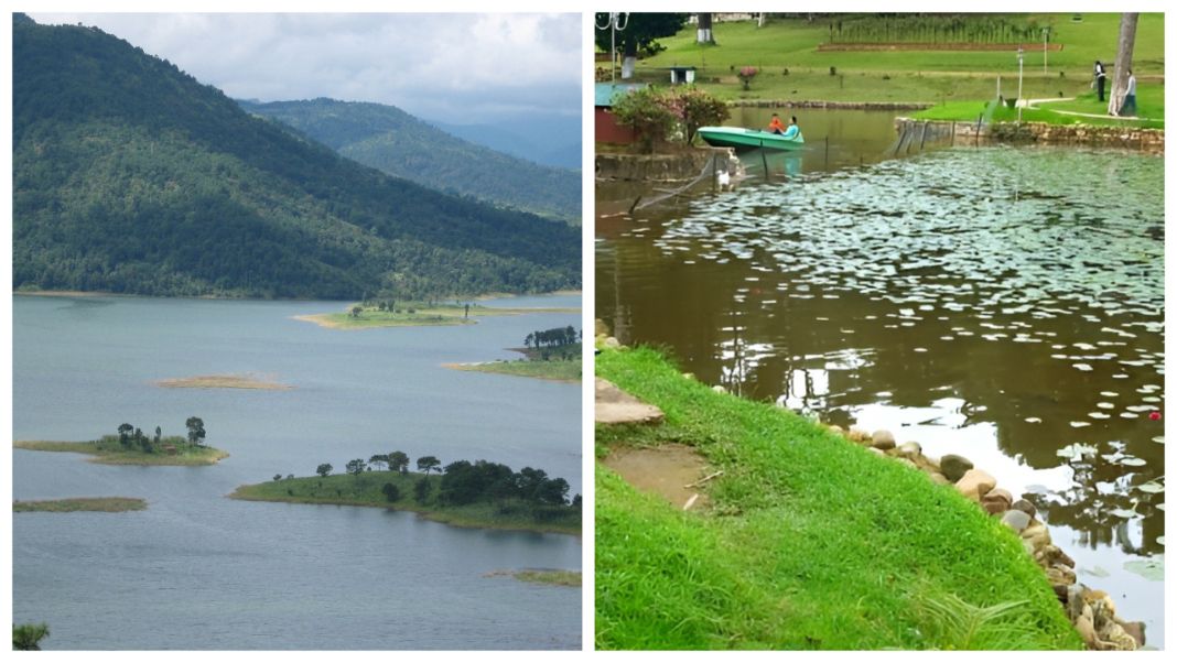 Toxic algae detected in Umiam, Ward’s Lake water