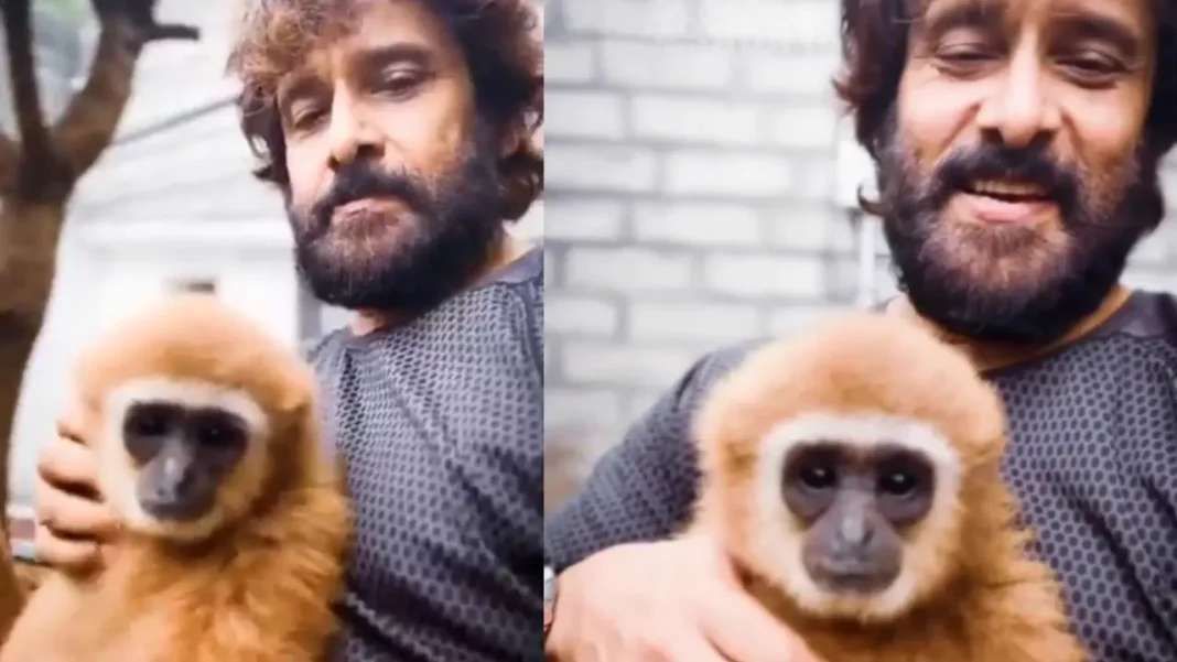 Actor Vikram’s inadvertent video exposes illegal possession of endangered Lar Gibbons from Malaysia
