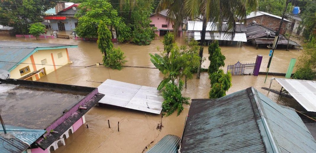 Death toll reaches 82 as 1.92 lakh people remain affected by floods in Assam