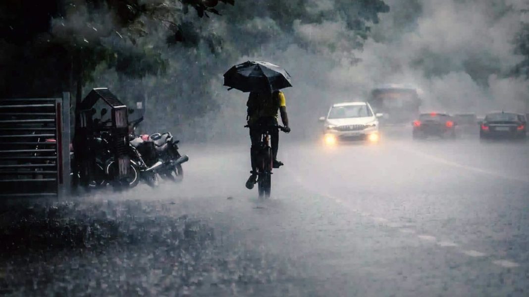 Eight dead, 13 injured, 8 missing following rains: Kerala CM