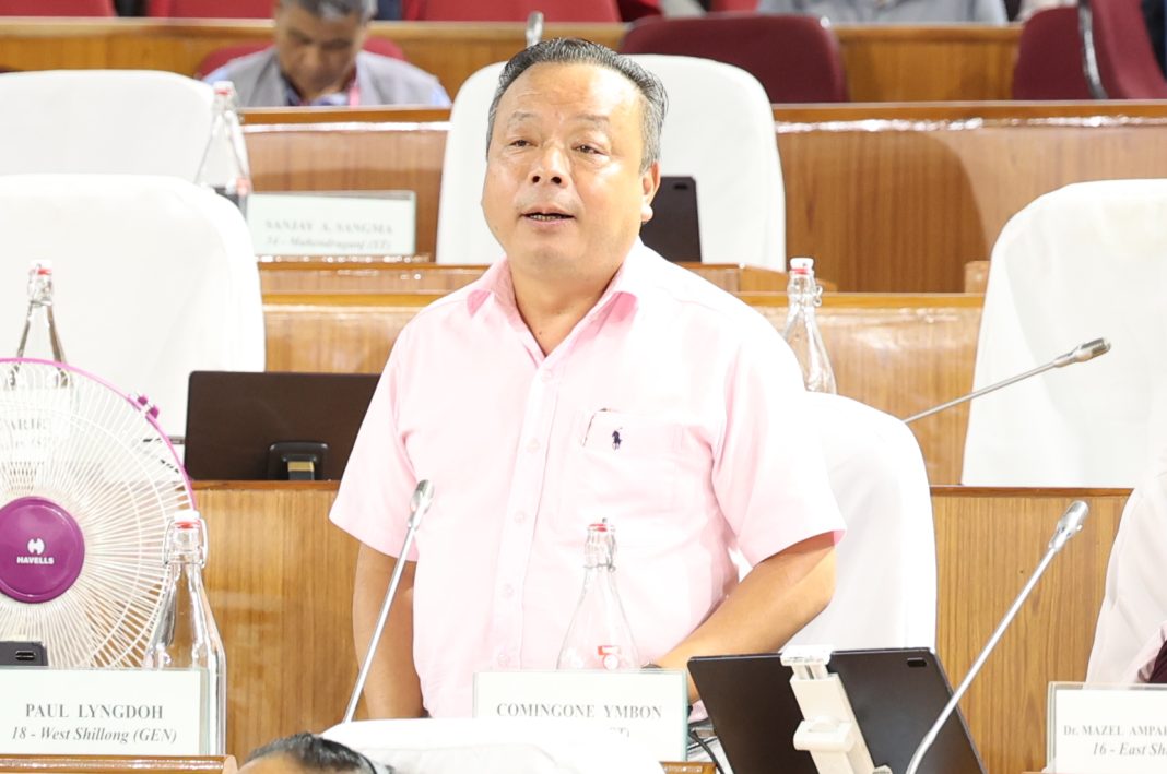 NPP best platform to serve people: Paul