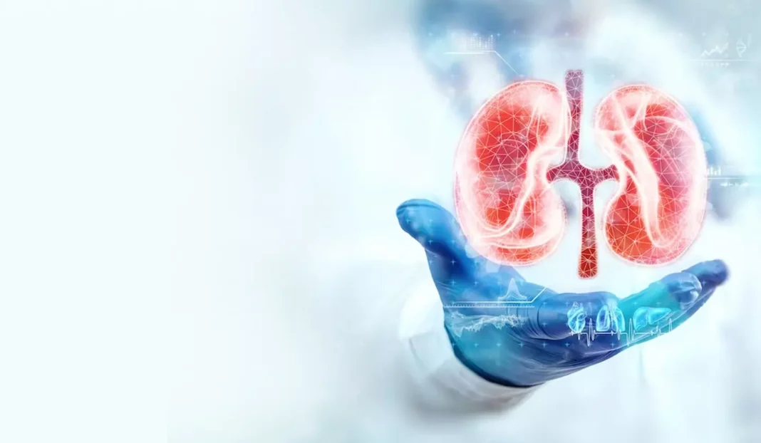 Parl panel recommends mandatory kidney tests for all aged 20 yrs and above every 6 months