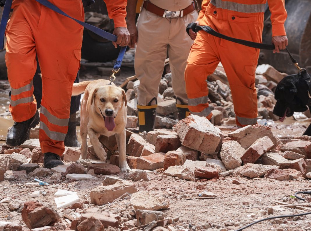 Toll rises to 7 in Delhi building collapse