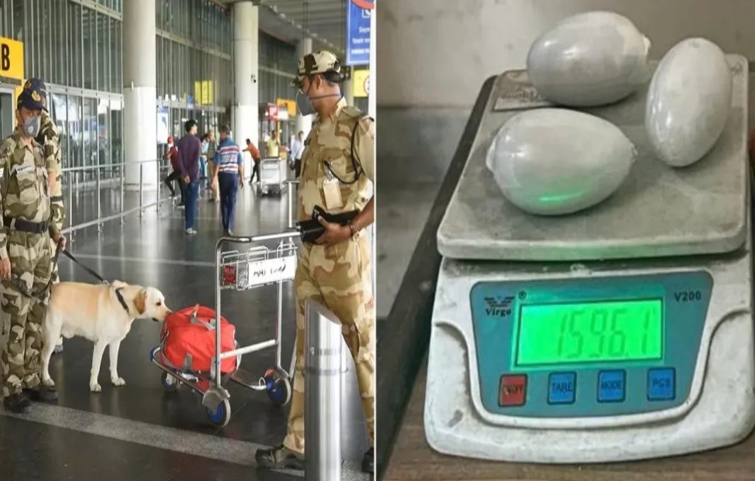 Bangladeshi national arrested at IGI Airport with 1.3 kg gold worth nearly Rs 2 crore