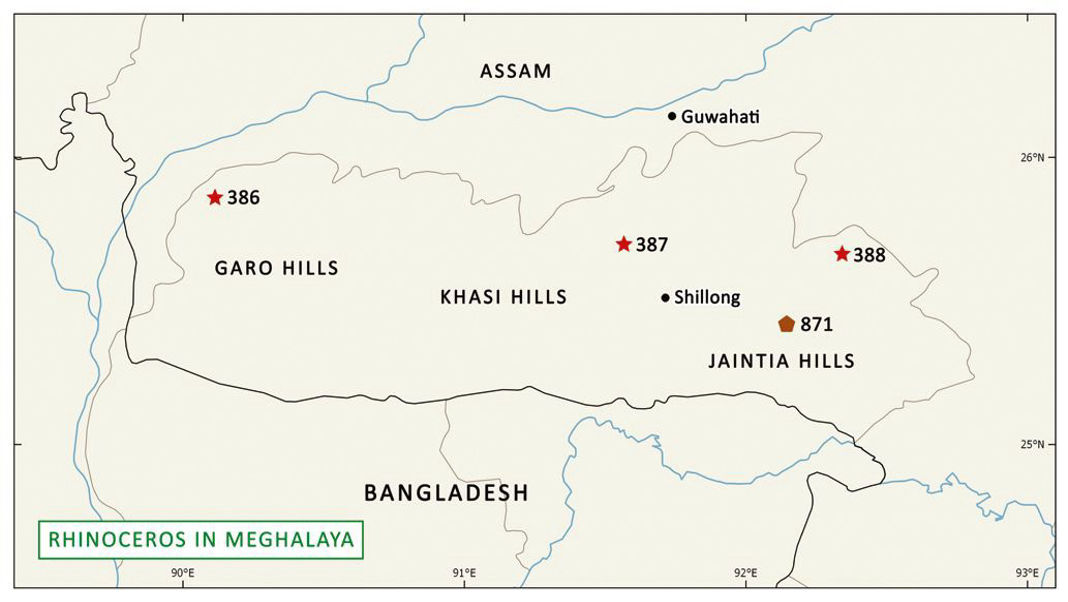 Hunting, carving records show rhinos once roamed in Meghalaya