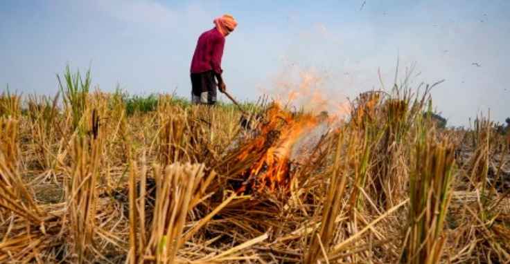 Punjab farm fires spike: 672 of 1,007 cases from three districts