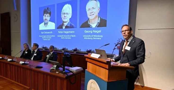 Nobel medicine prize goes to 3 scientists for research into brain activity