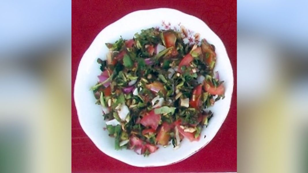 Study flags fast food’s growing impact on Khasi diet